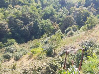 Kaçmaz Emlaktan Trabzon Akçaabat Söğütlü Mah. Satılık A 10