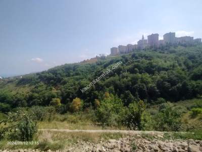 Kaçmaz Emlaktan Trabzon Akçaabat Söğütlü Mah. Satılık A 6