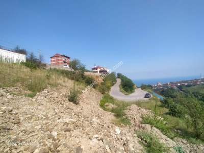 Kaçmaz Emlaktan Trabzon Akçaabat Söğütlü Mah. Satılık A 2