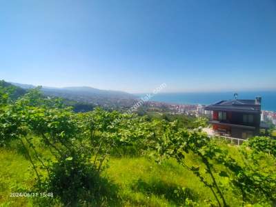 Kaçmaz Emlaktan Trabzon Akçaabat Ts Mah Satılık Villalı 11