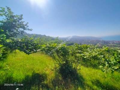 Kaçmaz Emlaktan Trabzon Akçaabat Ts Mah Satılık Villalı 9