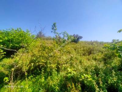 Kaçmaz Emlaktan Trabzon Akçaabat Ts Mah Satılık Villalı 10