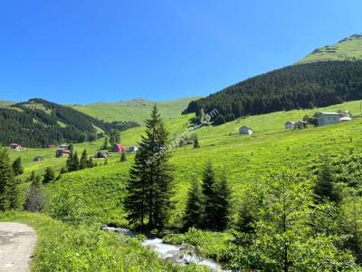 Trabzon Maçka Gürgenağaçta Satılık Arsalar 1