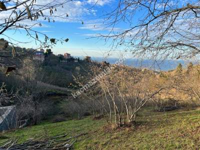 Trabzon Çileklide Satılık Villa İmarlı Arsa 7