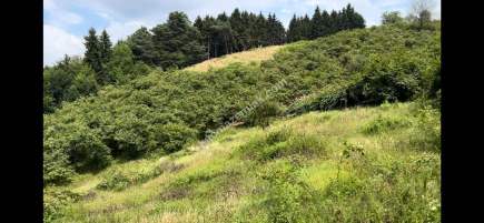 Trabzon Çileklide Satılık Villa İmarlı Arsa 3