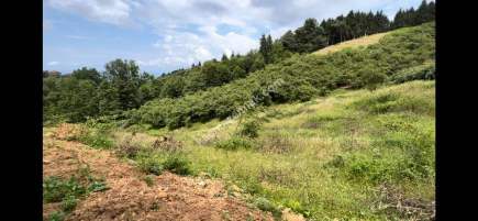 Trabzon Çileklide Satılık Villa İmarlı Arsa 10