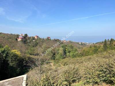 Trabzon Çileklide Satılık Villa İmarlı Arsa 2