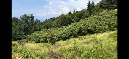 Trabzon Çileklide Satılık Villa İmarlı Arsa 1