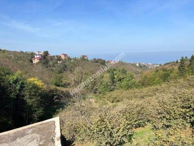 Trabzon Çileklide Satılık Villa İmarlı Arsa 8