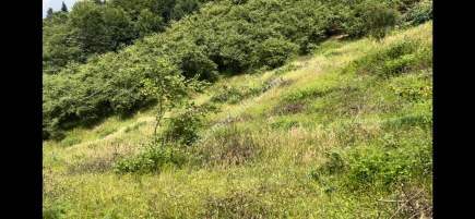 Trabzon Çileklide Satılık Villa İmarlı Arsa 9