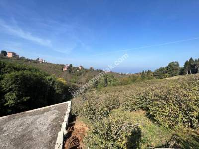 Trabzon Çileklide Satılık Villa İmarlı Arsa 4