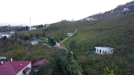 Trabzon Tosköyde Satılık Az Eğimli Arazi 10