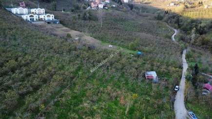 Trabzon Tosköyde Satılık Az Eğimli Arazi 17