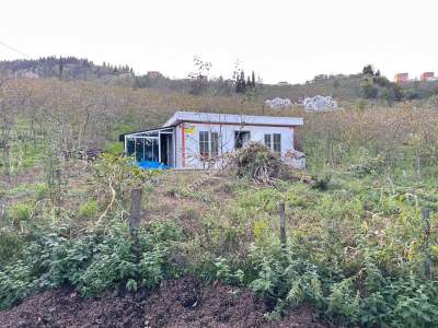 Trabzon Tosköyde Satılık Az Eğimli Arazi 1