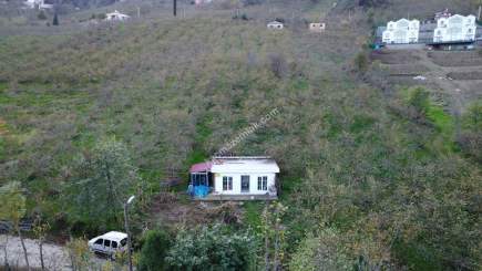 Trabzon Tosköyde Satılık Az Eğimli Arazi 3