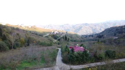 Trabzon Tosköyde Satılık Az Eğimli Arazi 14