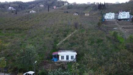 Trabzon Tosköyde Satılık Az Eğimli Arazi 4