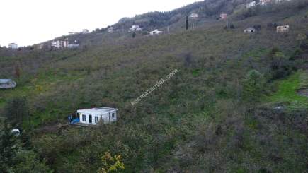 Trabzon Tosköyde Satılık Az Eğimli Arazi 5