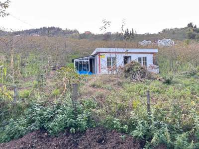 Trabzon Tosköyde Satılık Az Eğimli Arazi 2