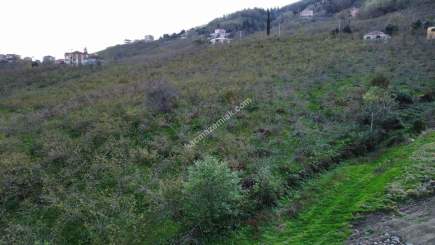 Trabzon Tosköyde Satılık Az Eğimli Arazi 8