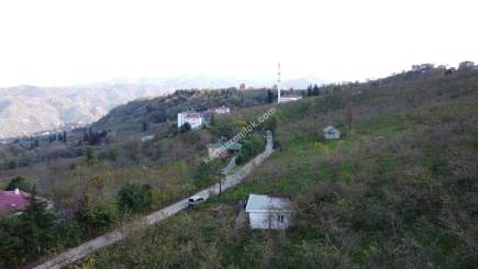 Trabzon Tosköyde Satılık Az Eğimli Arazi 9