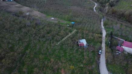 Trabzon Tosköyde Satılık Az Eğimli Arazi 15
