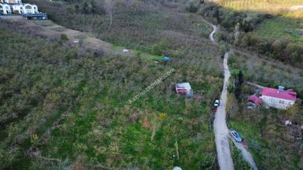 Trabzon Tosköyde Satılık Az Eğimli Arazi 13