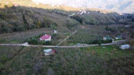 Trabzon Tosköyde Satılık Az Eğimli Arazi 12