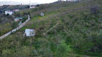 Trabzon Tosköyde Satılık Az Eğimli Arazi 7