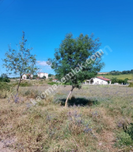 Yalova Çiftlikköy'de Satılık Villa İmarlı Arsa 2