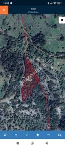 Aydın Efeler Doğan Köy 2.809M² Zeytinlik Satılık 3