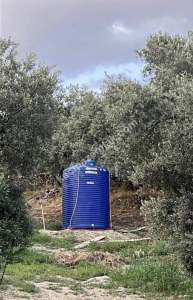 Kaçmaz Emlak Nazilliden Yaylapınatda Hobi Bahçesi 9