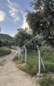 Kaçmaz Emlak Nazilliden Yaylapınatda Hobi Bahçesi 7