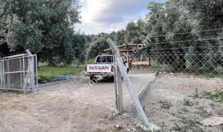 Kaçmaz Emlak Nazilliden Yaylapınatda Hobi Bahçesi 4