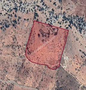 Nizip Salkım Da 38 Dönüm Yatırımlık Fıstıklık 24