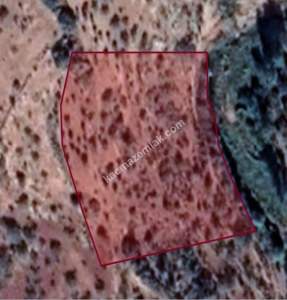 Nizip Tatlıcak Da 5770 M2 Yatırımlık Tek Tapu Fıstıklık 5