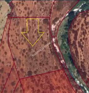 Nizip Tatlıcak Da 5770 M2 Yatırımlık Tek Tapu Fıstıklık 9