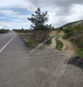 Şahinbey Morcalıda Çok Uygun 5.350M2 Tek Tapu Zeytinlik 2