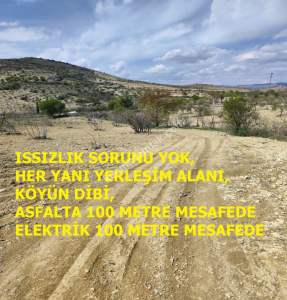 Şahinbey Morcalıda Çok Uygun 5.350M2 Tek Tapu Zeytinlik 6