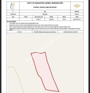 Şahinbey Morcalıda Çok Uygun 5.350M2 Tek Tapu Zeytinlik 15