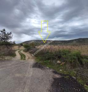 Şahinbey Morcalıda Çok Uygun 5.350M2 Tek Tapu Zeytinlik 1