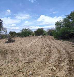 Şahinbey Morcalıda Çok Uygun 5.350M2 Tek Tapu Zeytinlik 35