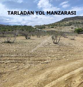 Şahinbey Morcalıda Çok Uygun 5.350M2 Tek Tapu Zeytinlik 7