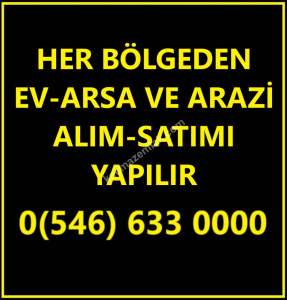 Şahinbey Morcalıda Çok Uygun 5.350M2 Tek Tapu Zeytinlik 3