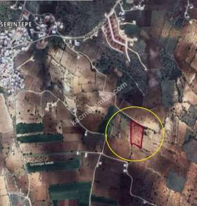 Kirlialıcı Da 7100 M2 Tek Tapu Fıstıklık 6