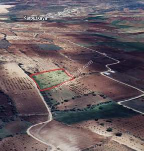 Kirlialıcı Da 7100 M2 Tek Tapu Fıstıklık 10