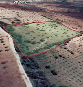 Kirlialıcı Da 7100 M2 Tek Tapu Fıstıklık 11