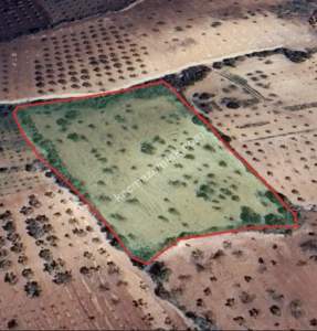 Kirlialıcı Da 7100 M2 Tek Tapu Fıstıklık 15