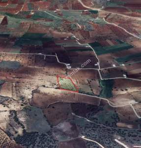 Kirlialıcı Da 7100 M2 Tek Tapu Fıstıklık 12