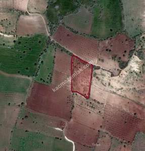 Kirlialıcı Da 7100 M2 Tek Tapu Fıstıklık 1